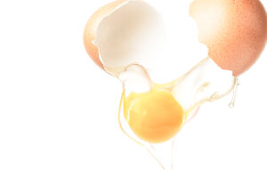 インパクトレポート