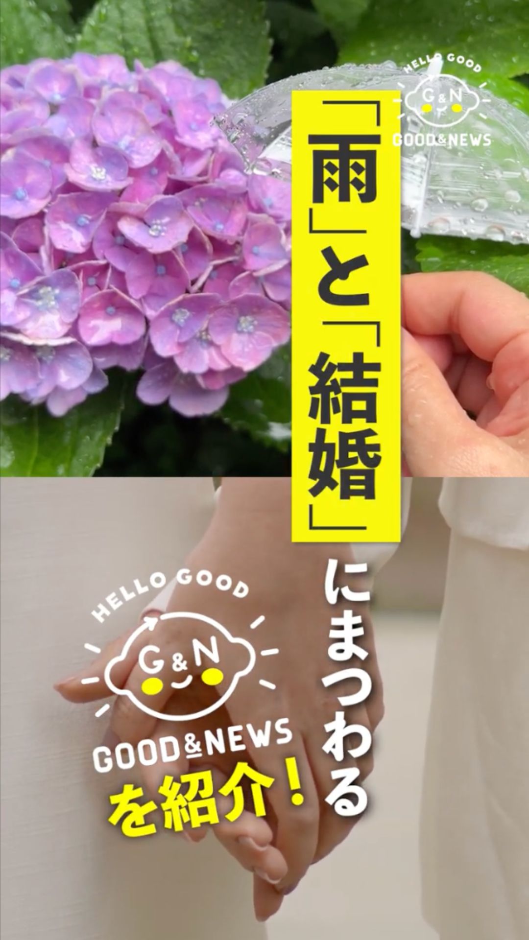 動画を再生