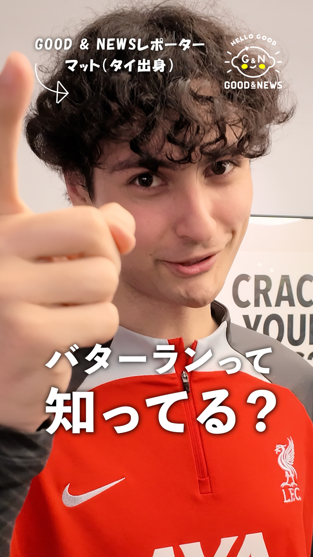 動画を再生